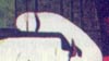 Messaggi subliminali opere artistiche